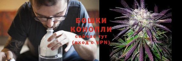 бошки Белокуриха