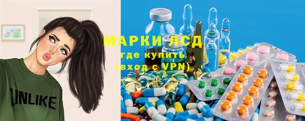 бошки Белокуриха